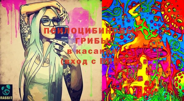 мяу мяу мука Абдулино