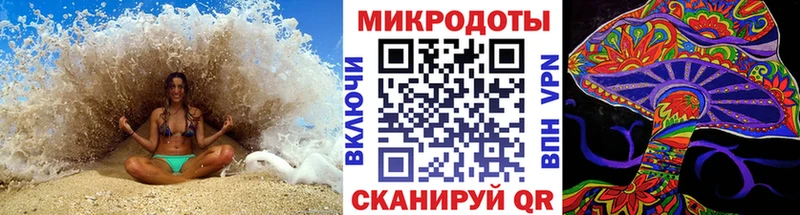 купить закладку  Александровск-Сахалинский  Псилоцибиновые грибы Psilocybine cubensis 